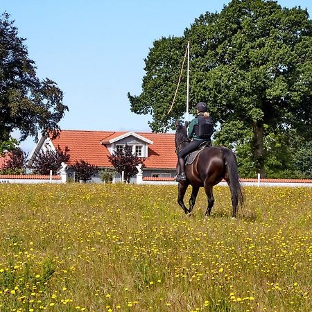 Mollegade 1 Holiday House Nordborg Kültér fotó