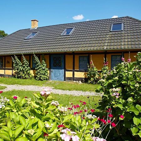 Mollegade 1 Holiday House Nordborg Kültér fotó