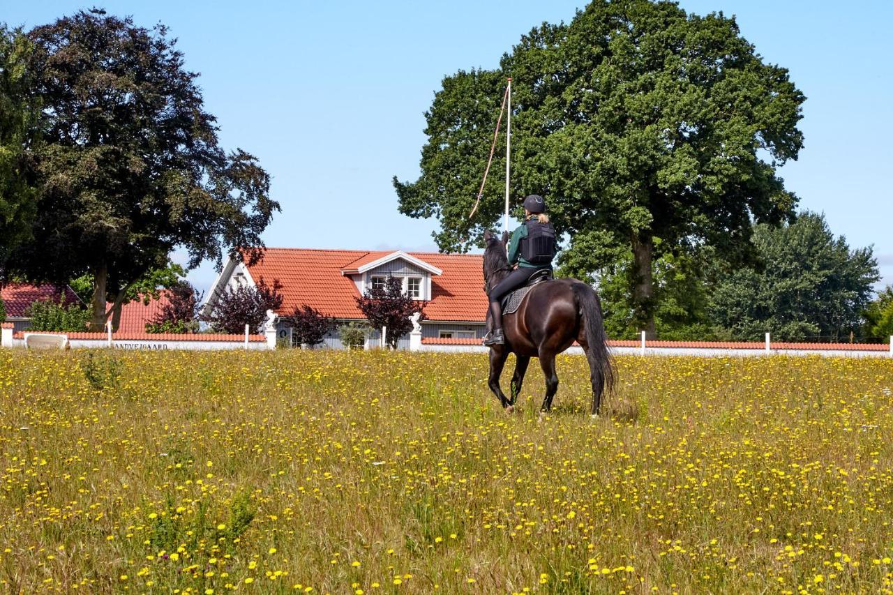 Mollegade 1 Holiday House Nordborg Kültér fotó